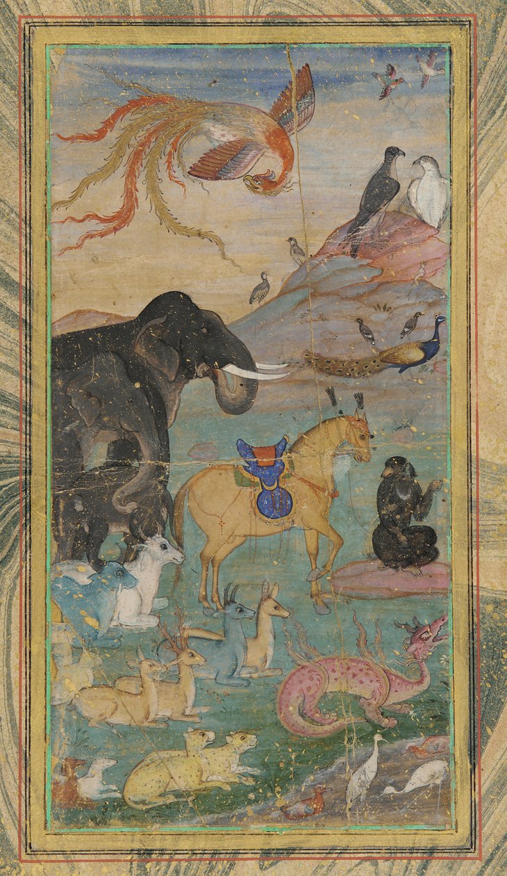 Animaux et oiseaux - Unbekannt