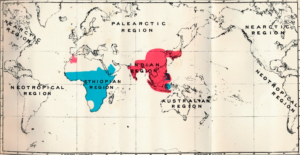 Anthropoidea - VI. Carte de distribution des différentes espèces Bleu et Macacus Rouge - Unbekannt