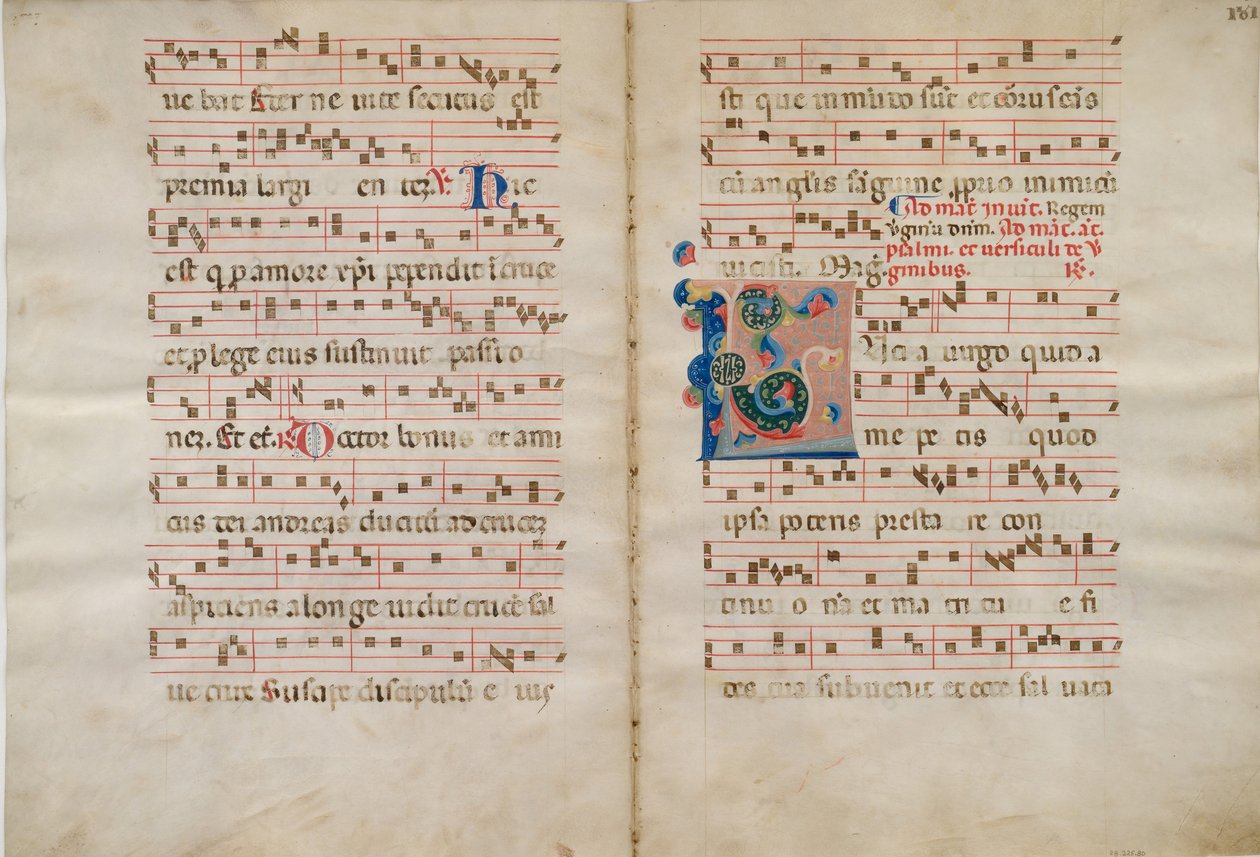 Bifolium avec Initiale L, d