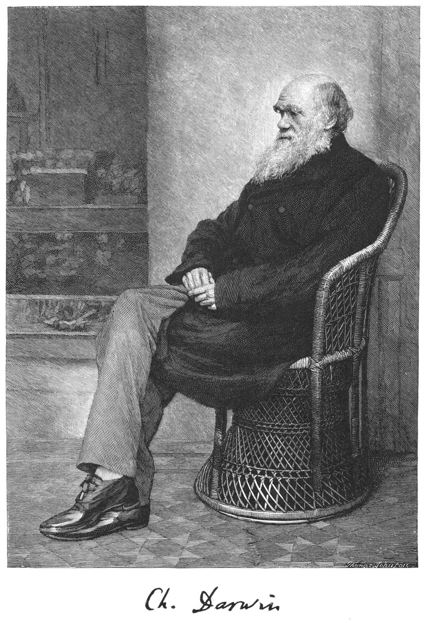Charles Darwin, naturaliste anglais, 1883 - Unbekannt