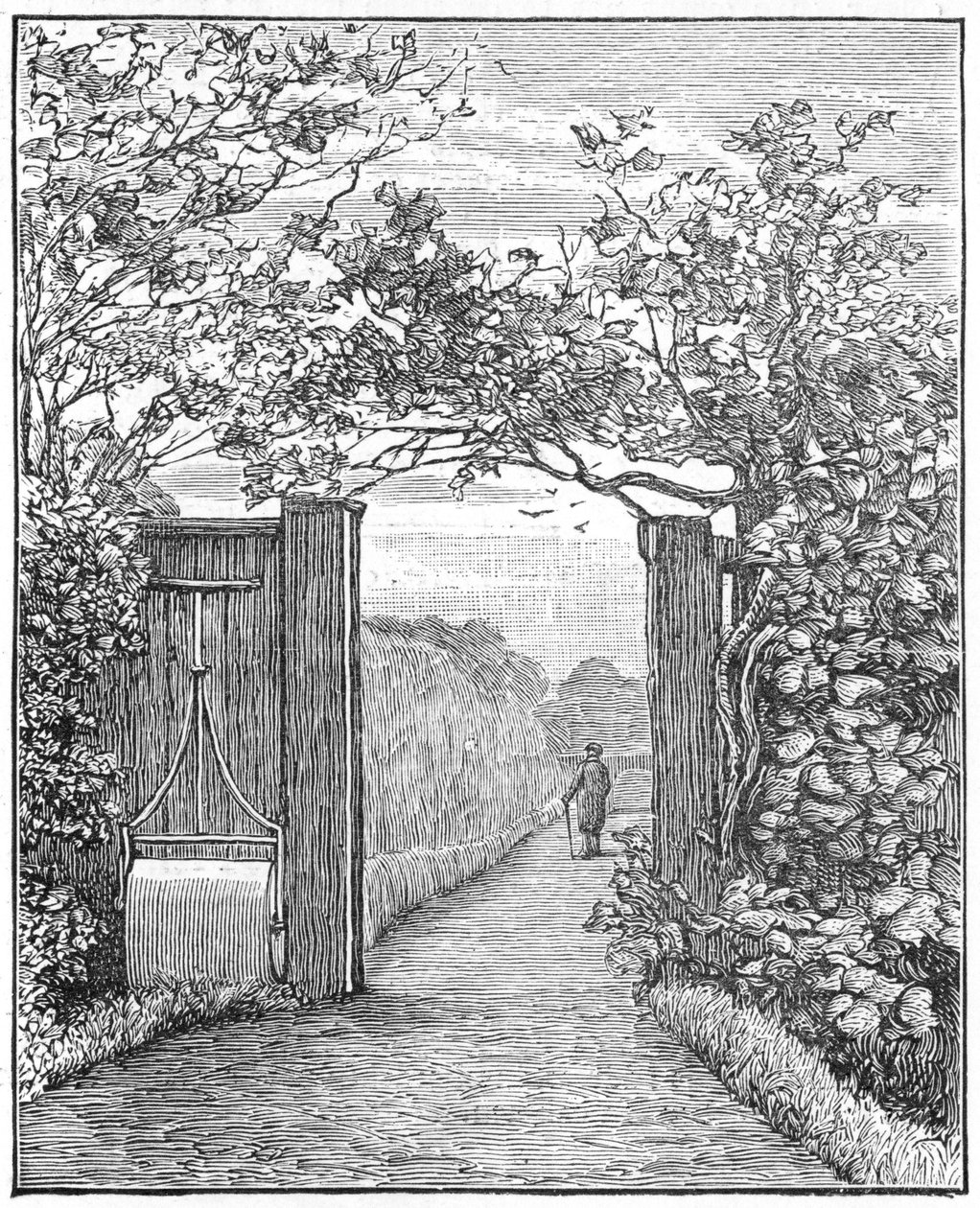 Charles Darwin dans le sentier de sable à Down House, vers 1870-1887 - Unbekannt