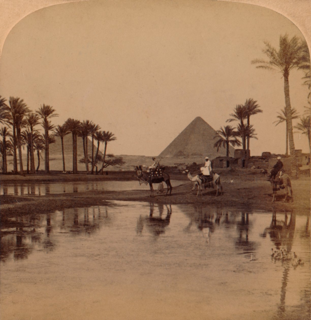 Khéops depuis la vallée fertile du Nil, Égypte, 1896 - Unbekannt