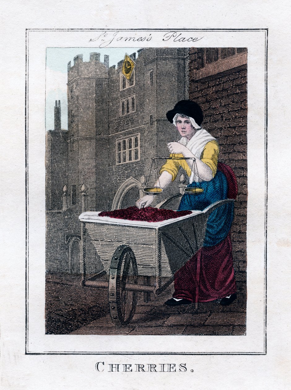 Cerises, palais de St James, Londres - Unbekannt