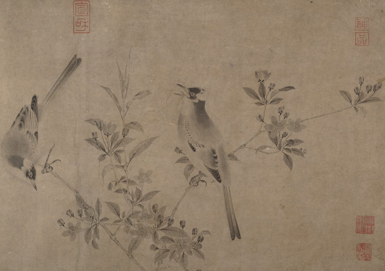 Bulbuls chinois sur un pommier en fleurs - Unbekannt