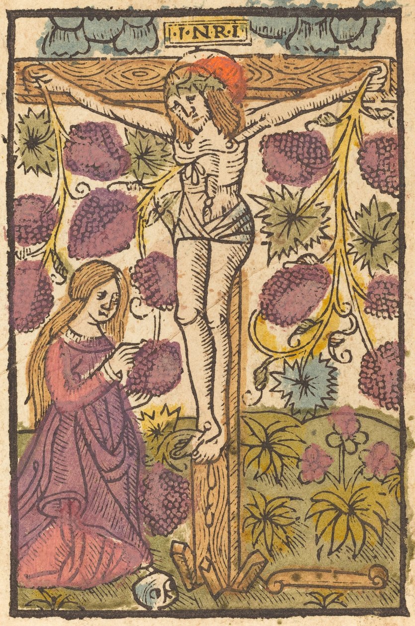 Christ sur la croix avec une vigne - Unbekannt