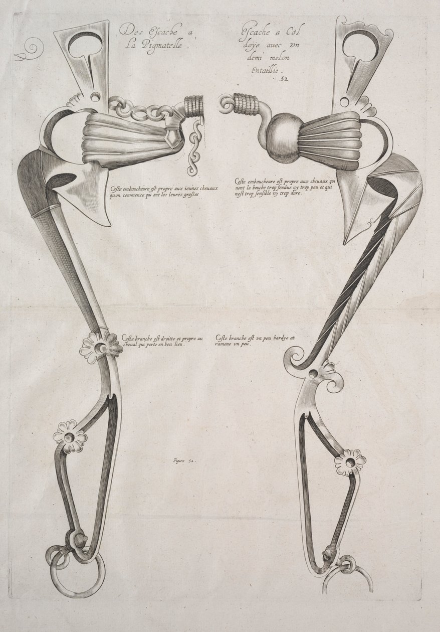 Diagramme pour mors de cheval - Unbekannt