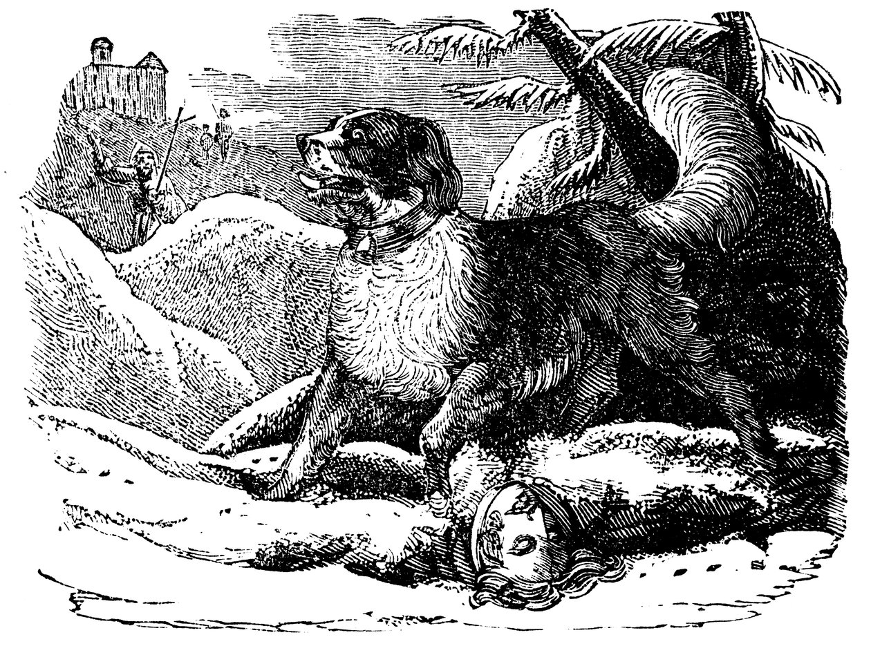 Chien de l