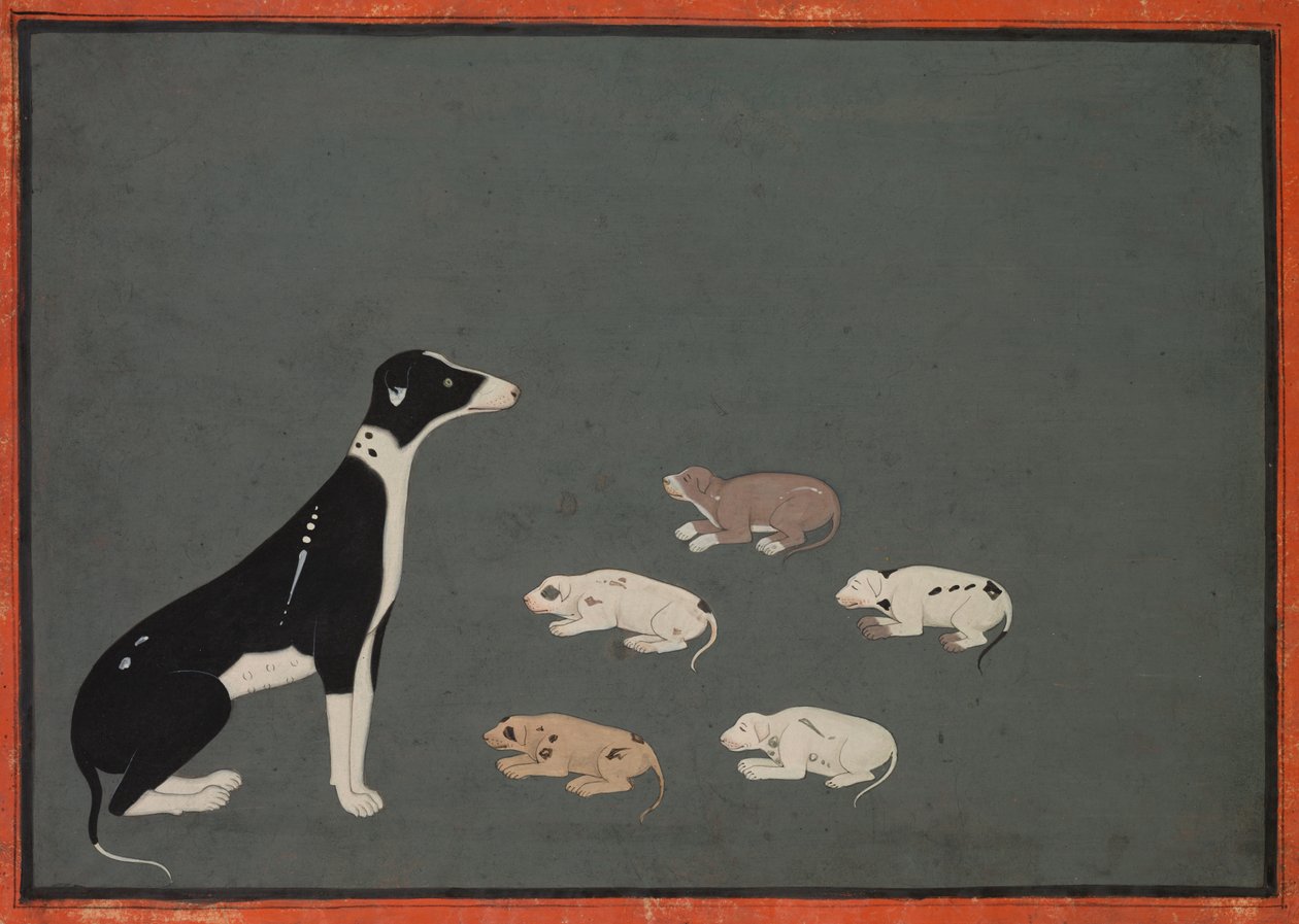 Chien avec chiots, vers 1780 - Unbekannt
