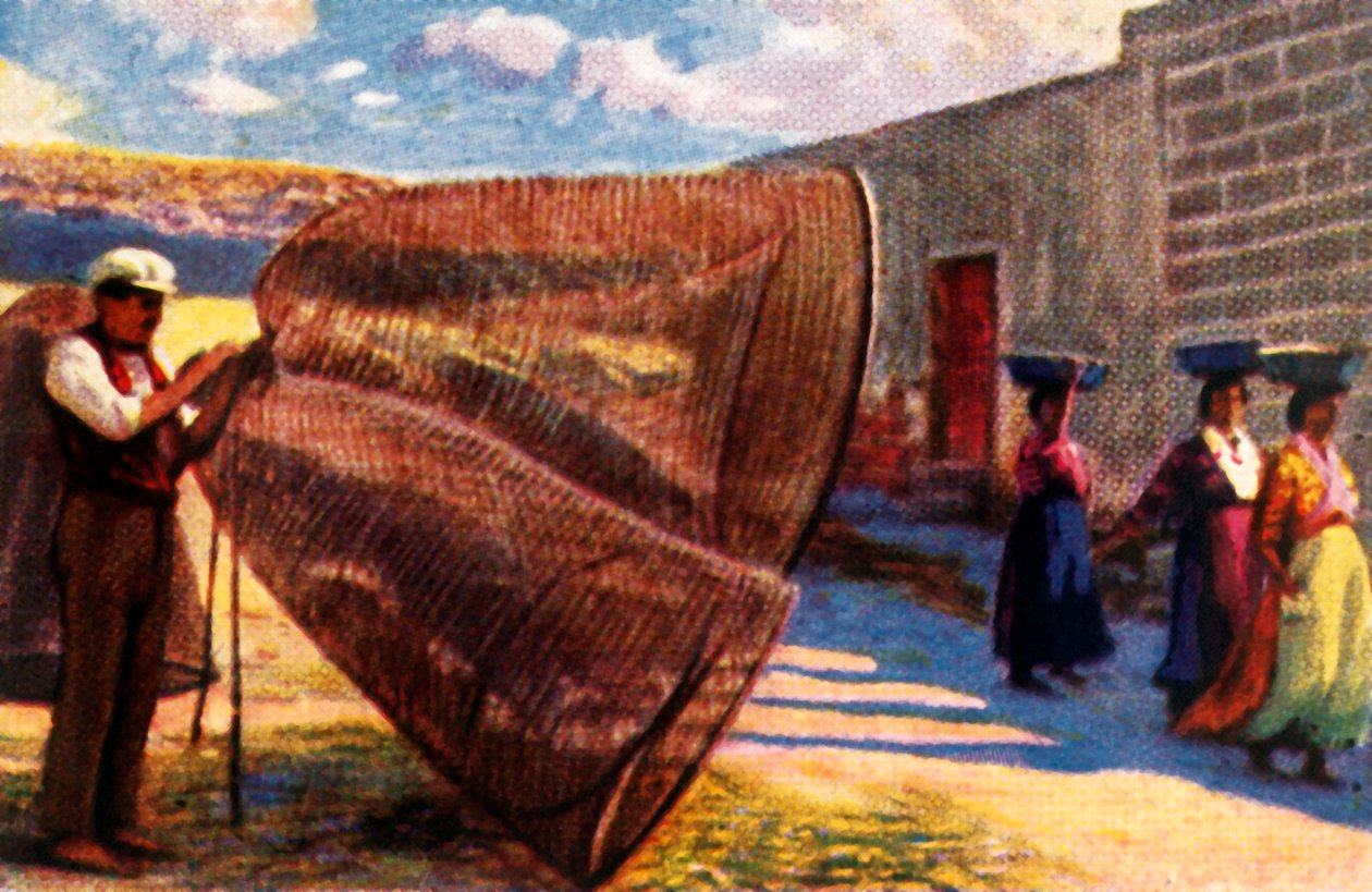 Séchage des filets, Malte, vers 1928 - Unbekannt
