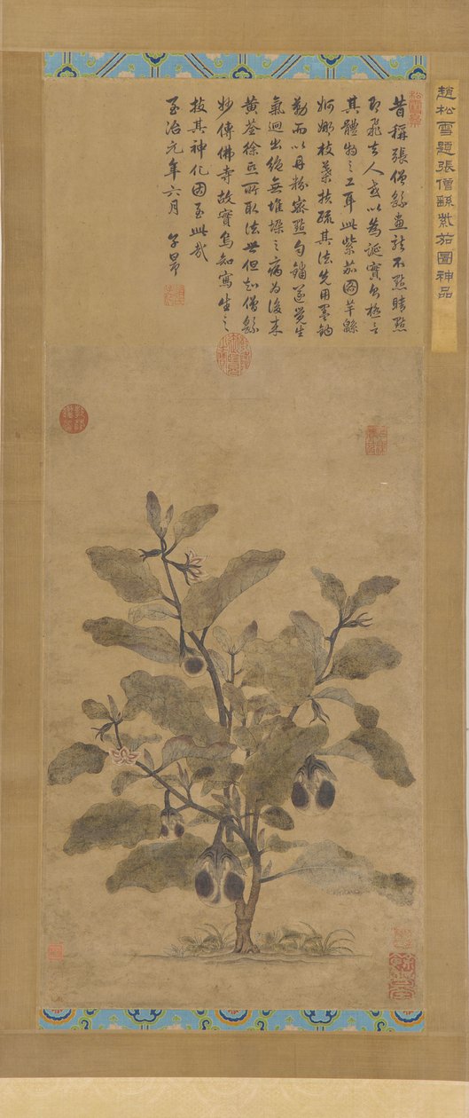 Aubergine, dynastie Ming, 1368-1644 - Unbekannt