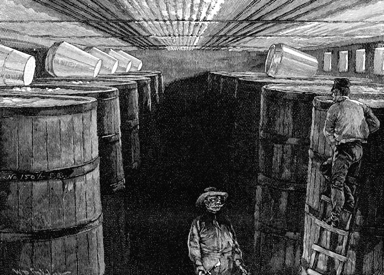 Cave de fermentation dans une brasserie américaine, 1885 - Unbekannt