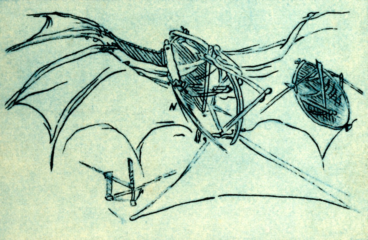 Machine volante conçue par Léonard de Vinci, vers 1485 - Unbekannt