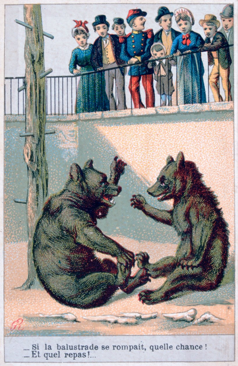 Carte postale zoologique française, XIXe siècle - Unbekannt