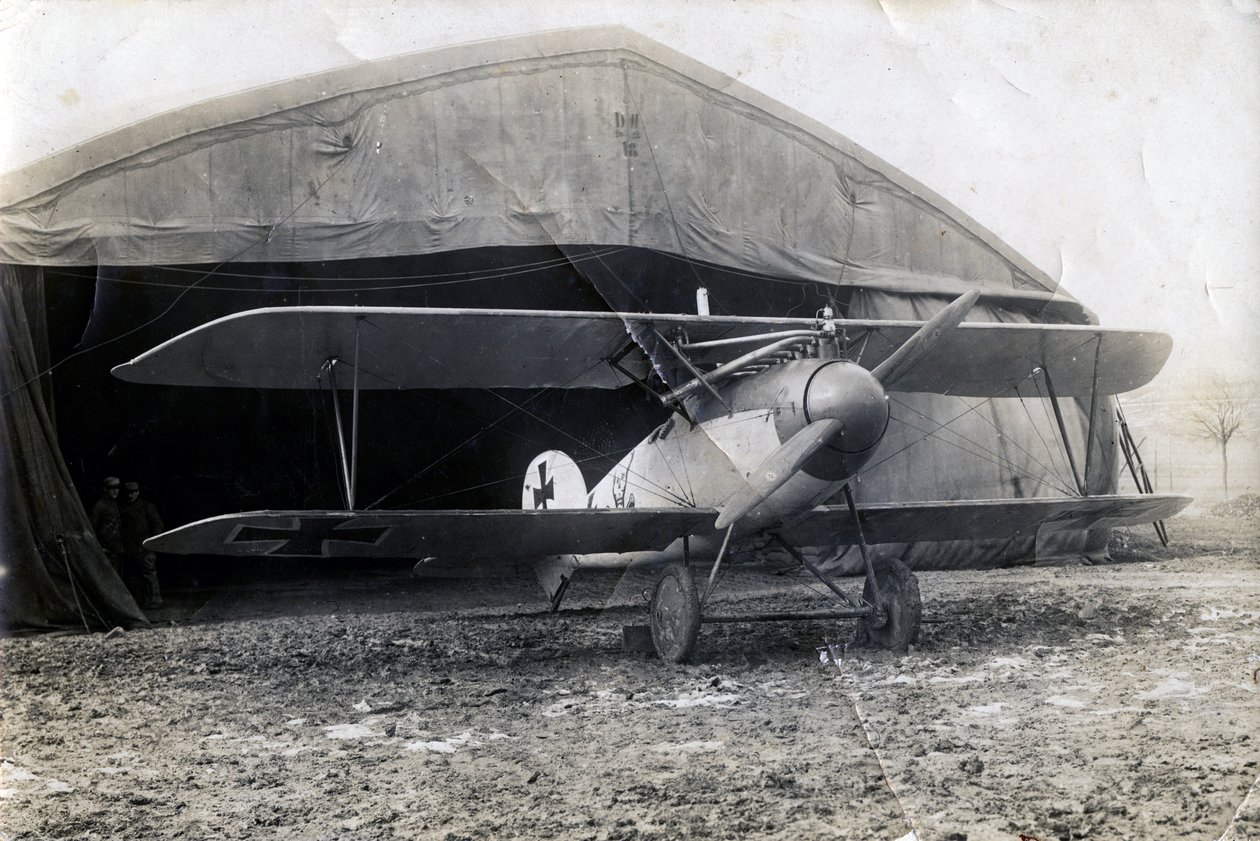 Albatros allemand DV, Souilly, France, 2 janvier 1918 - Unbekannt
