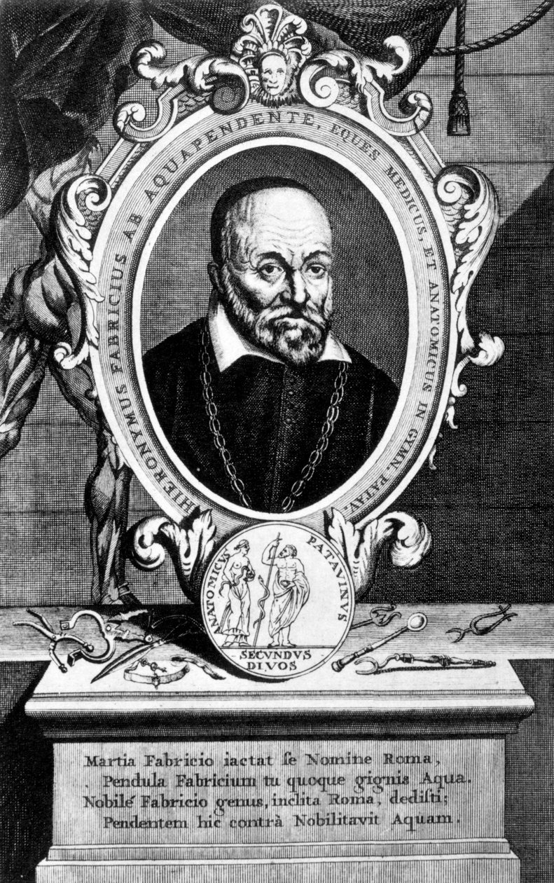 Girolamo Fabrici, anatomiste et chirurgien italien, 17ème siècle - Unbekannt