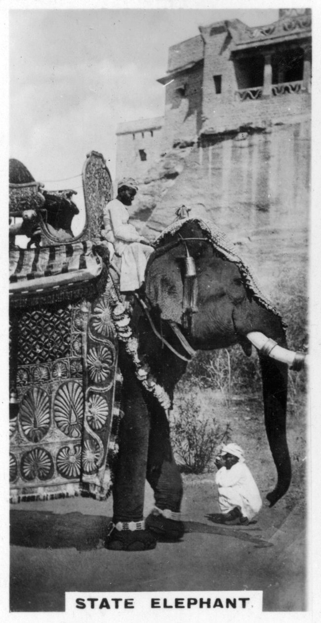 Éléphant gouvernemental en costume d