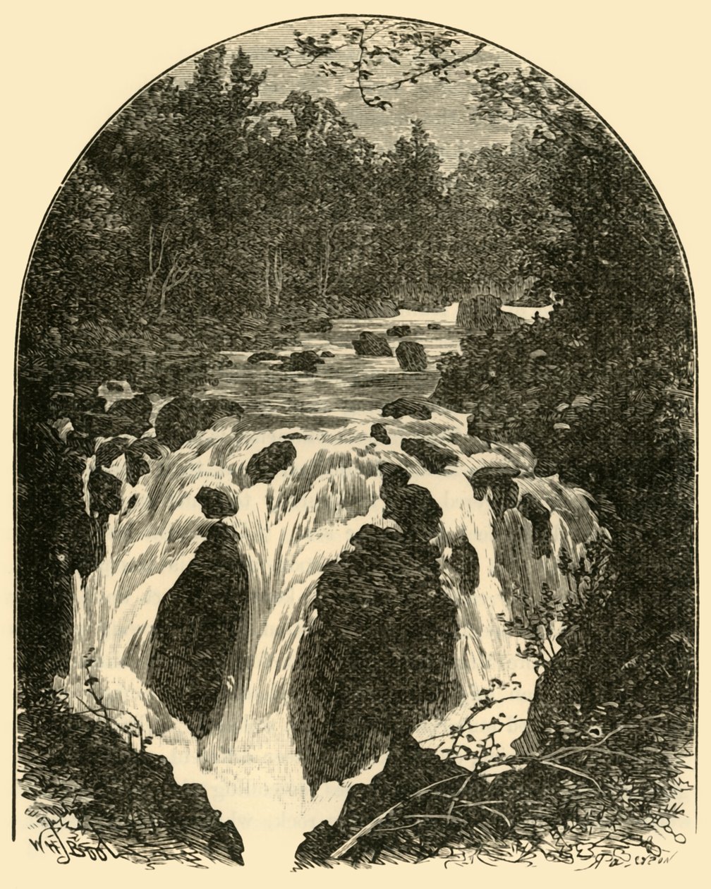 Chute de l