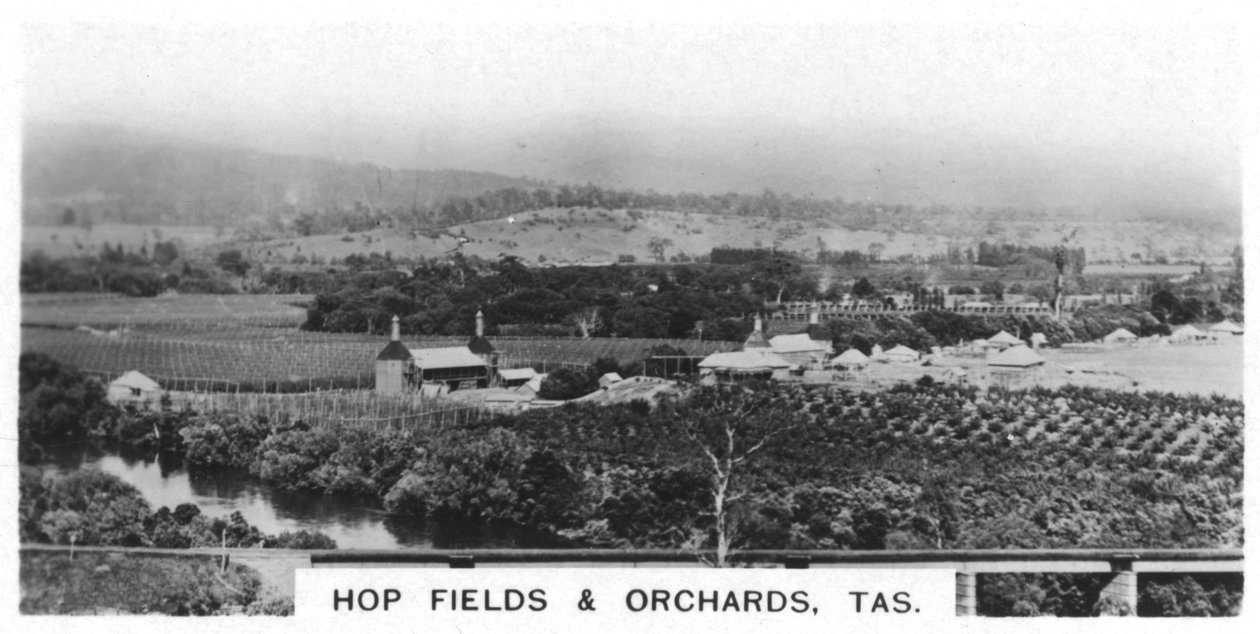 Champs de houblon et vergers, Tasmanie, Australie, 1928 - Unbekannt