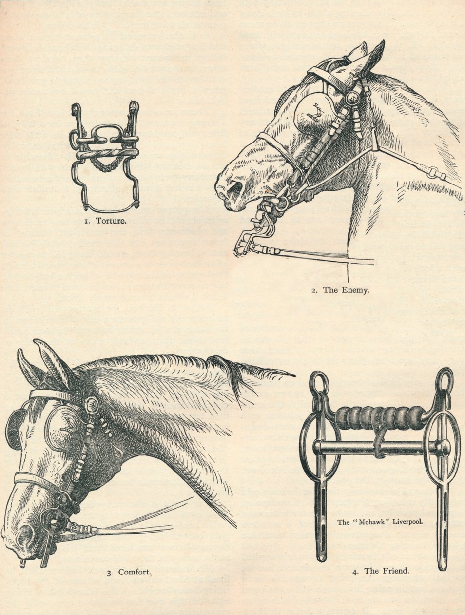 Mors de cheval, bons et mauvais, vers 1909-1910 - Unbekannt