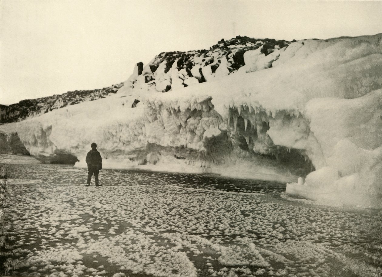 Fleurs de glace sur la glace de mer nouvellement formée au début de l