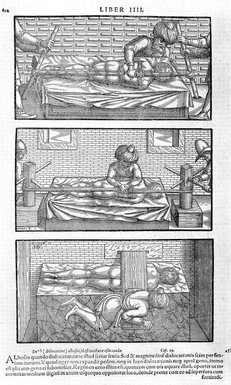 Illustration du Liber canonis de medicinis cordialibus par Avicenne, 1556 - Unbekannt