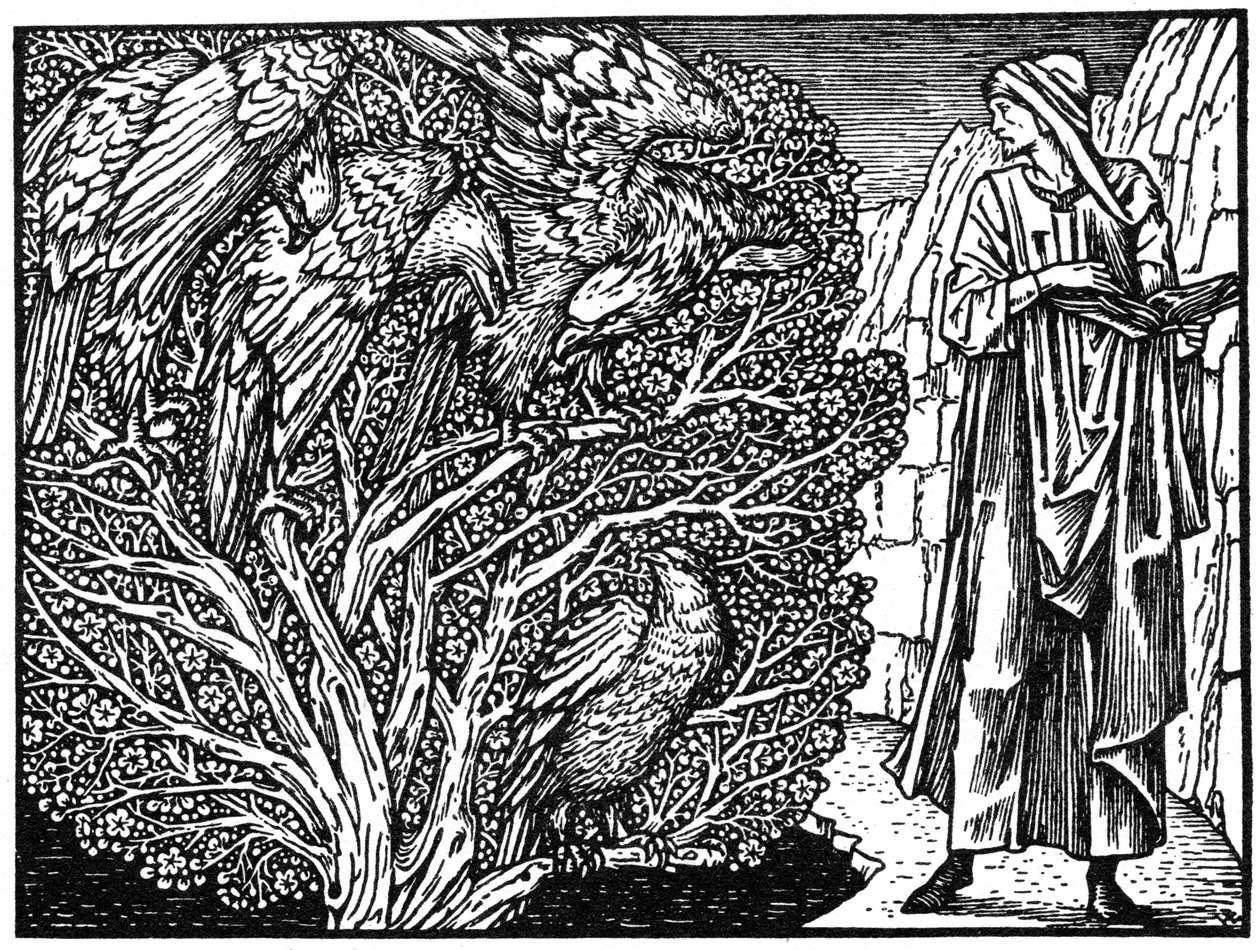 Illustration de l