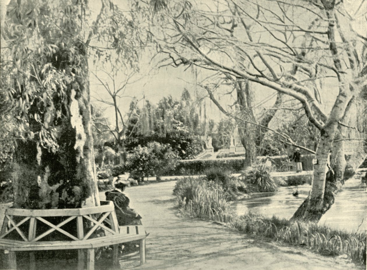 Dans les jardins botaniques, Adélaïde, 1901 - Unbekannt