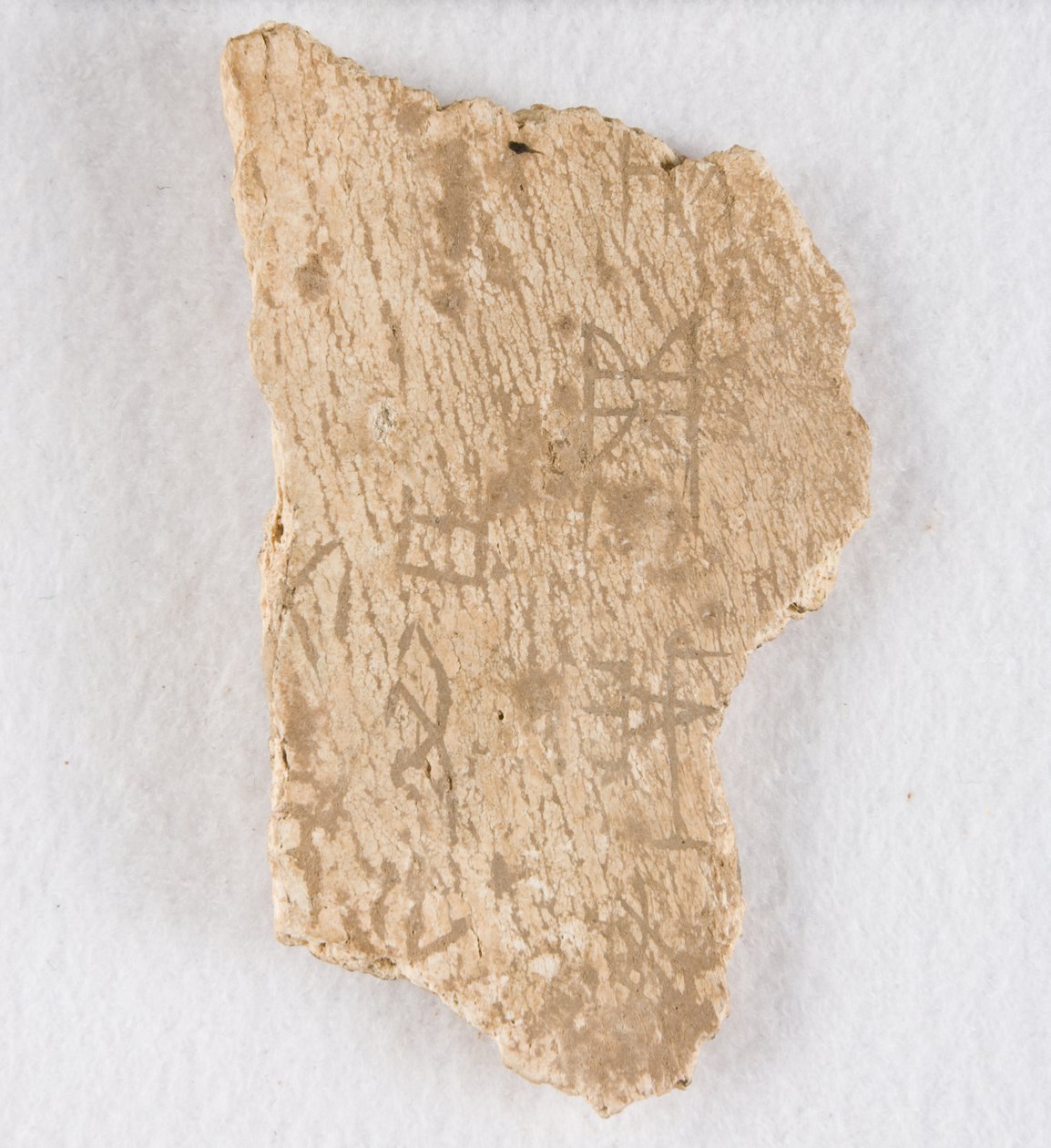 Fragment d