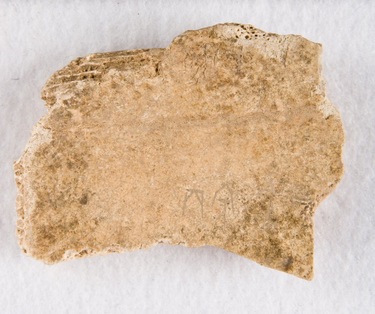 Fragment d