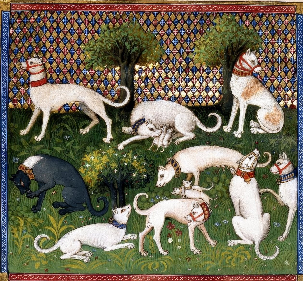 Chiens de chasse / Livre de la Chasse - Unbekannt