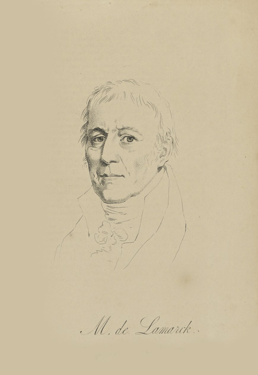 Jean-Baptiste Pierre Antoine de Monet, Chevalier de Lamarck 1744-1829, vers 1810 - Unbekannt
