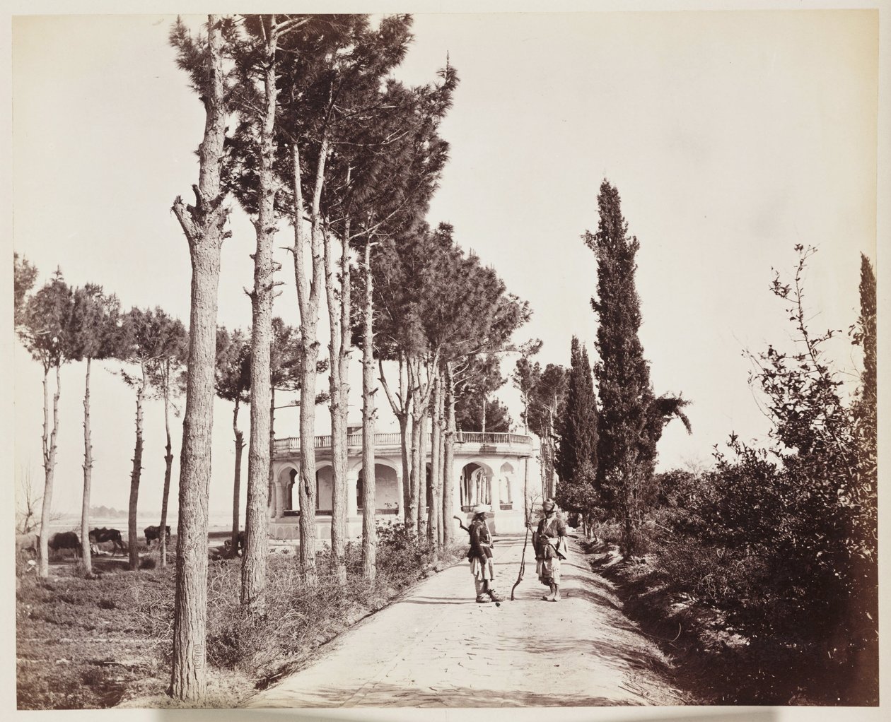 Jellallabad Le trottoir du jardin de l