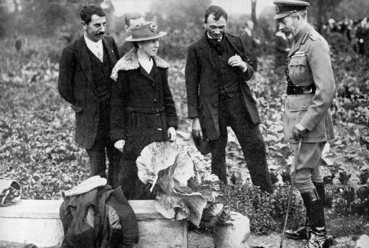 Le roi George V admirant les jardins ouvriers sur Clapham Common, Londres, vers 1910-1920, 1936 - Unbekannt