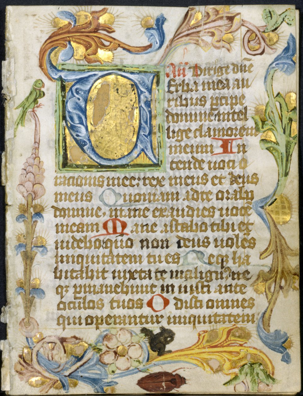 Feuille d