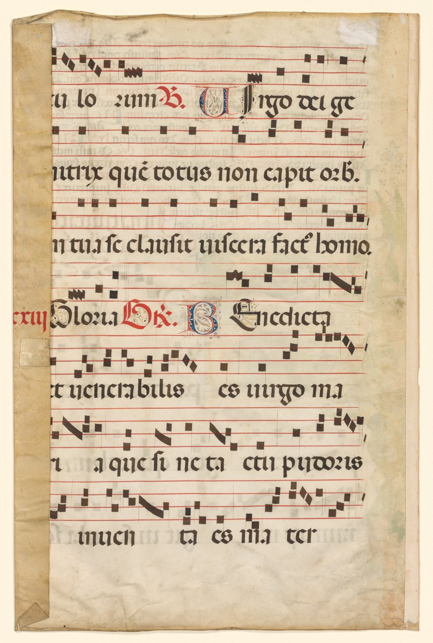 Feuille d