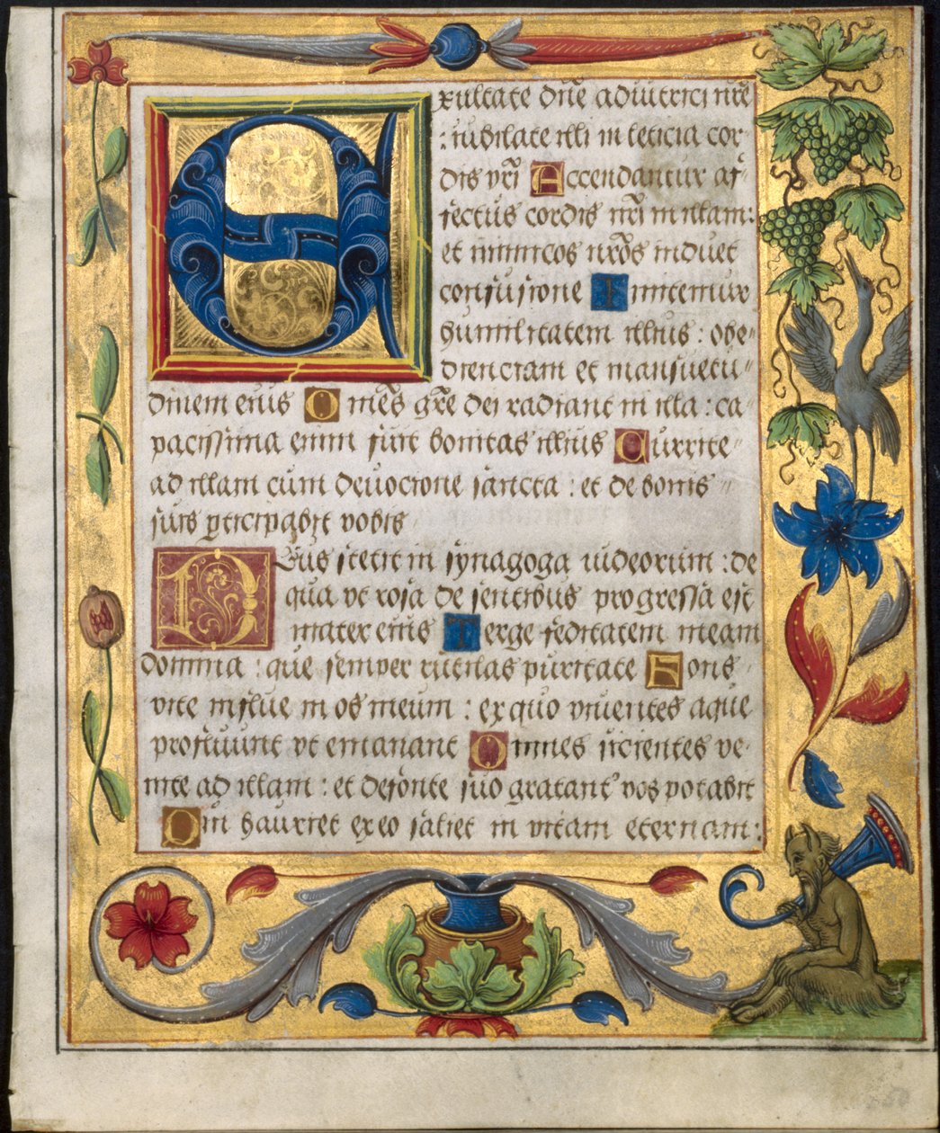 Feuille d