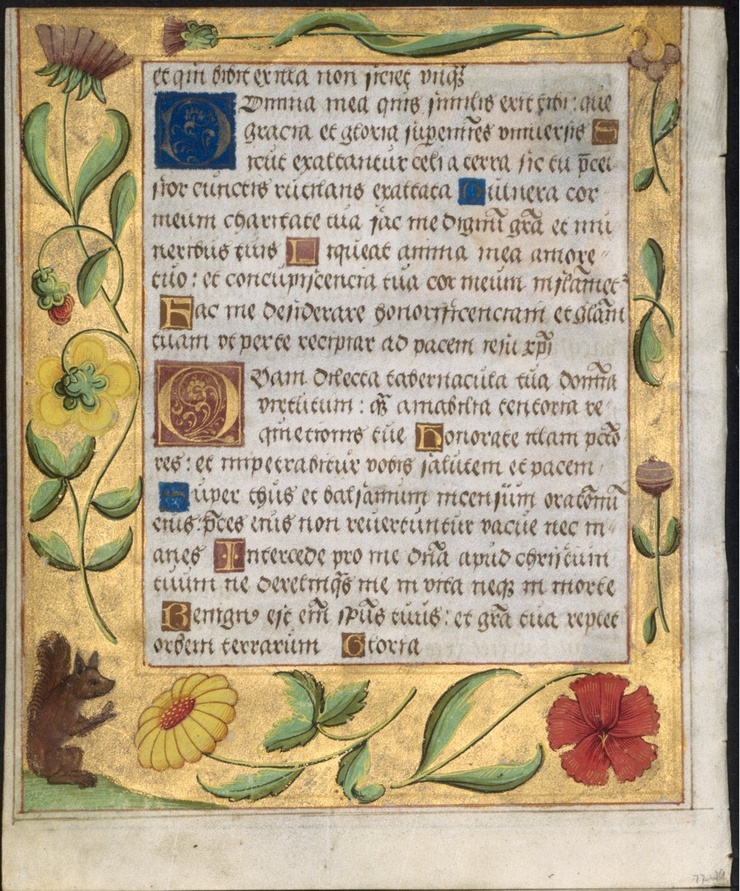 Feuille d