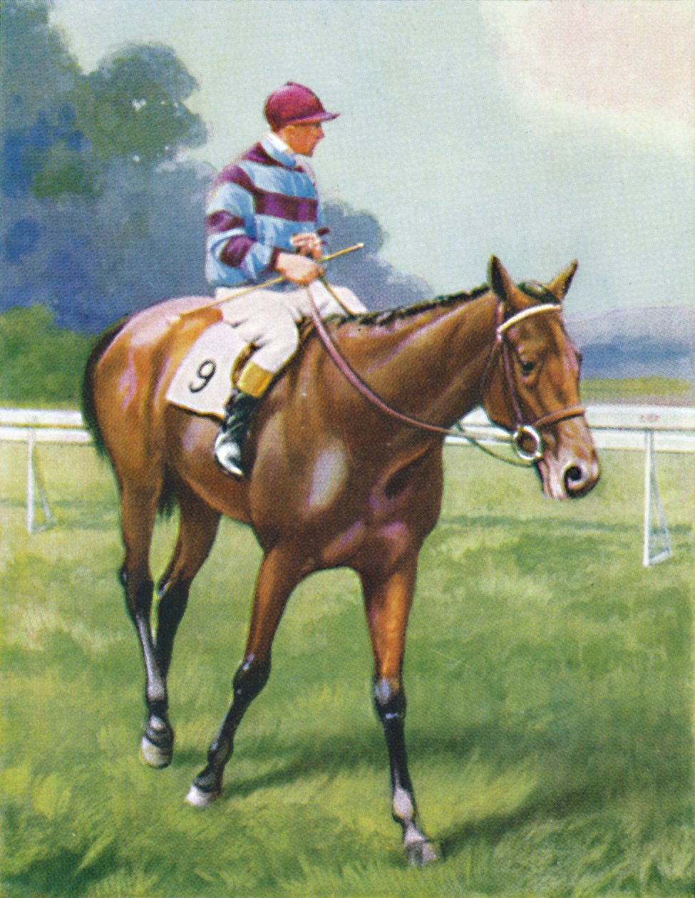 Légende de France, Jockey : A. Richardson, 1939 - Unbekannt
