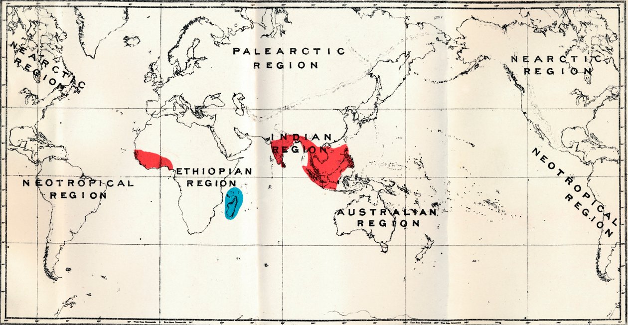 Lemuroidea - III. Carte montrant la distribution de la famille Chiromyidae et des sous-familles - Unbekannt