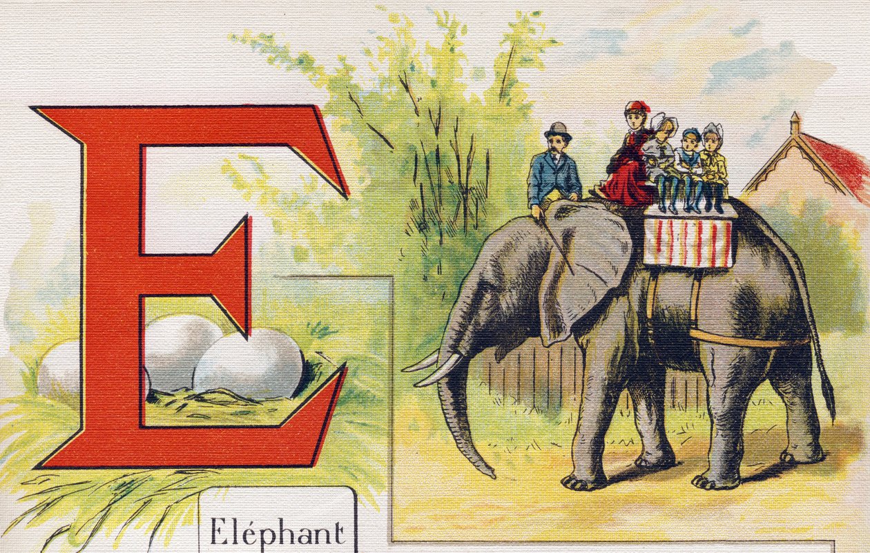 Lettre E : éléphant. Gravure dans « ABC L