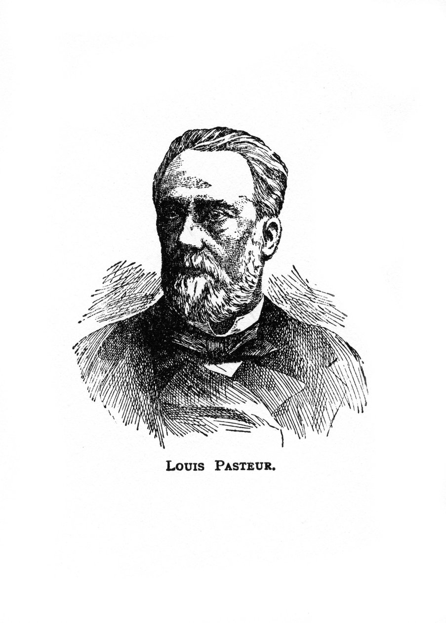 Louis Pasteur, microbiologiste et chimiste français du 19ème siècle, 20ème siècle - Unbekannt