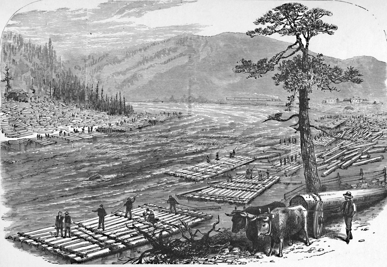 Assemblage de radeaux sur la rivière Susquehanna. Une scène sur la ligne du chemin de fer Erie, 1883 - Unbekannt