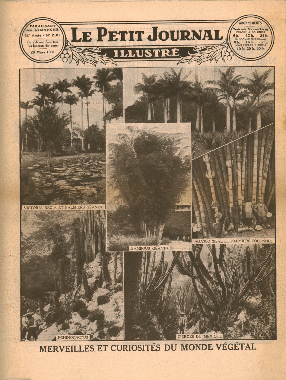 Merveilles et curiosités du monde végétal, 1931 - Unbekannt
