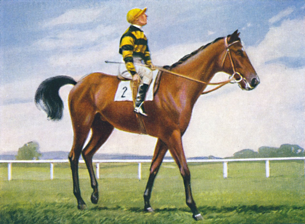 Meadow, Jockey: T. Weston, 1939 - Unbekannt