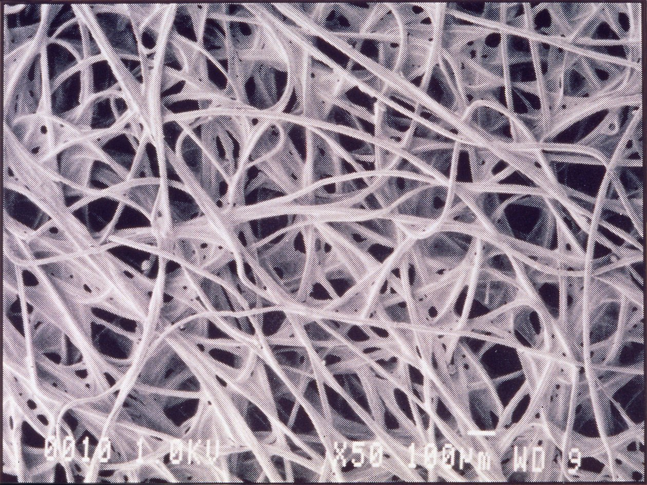 Micrographies (Lumière) Tissu chimicotextile, micrographie en lumière - Unbekannt