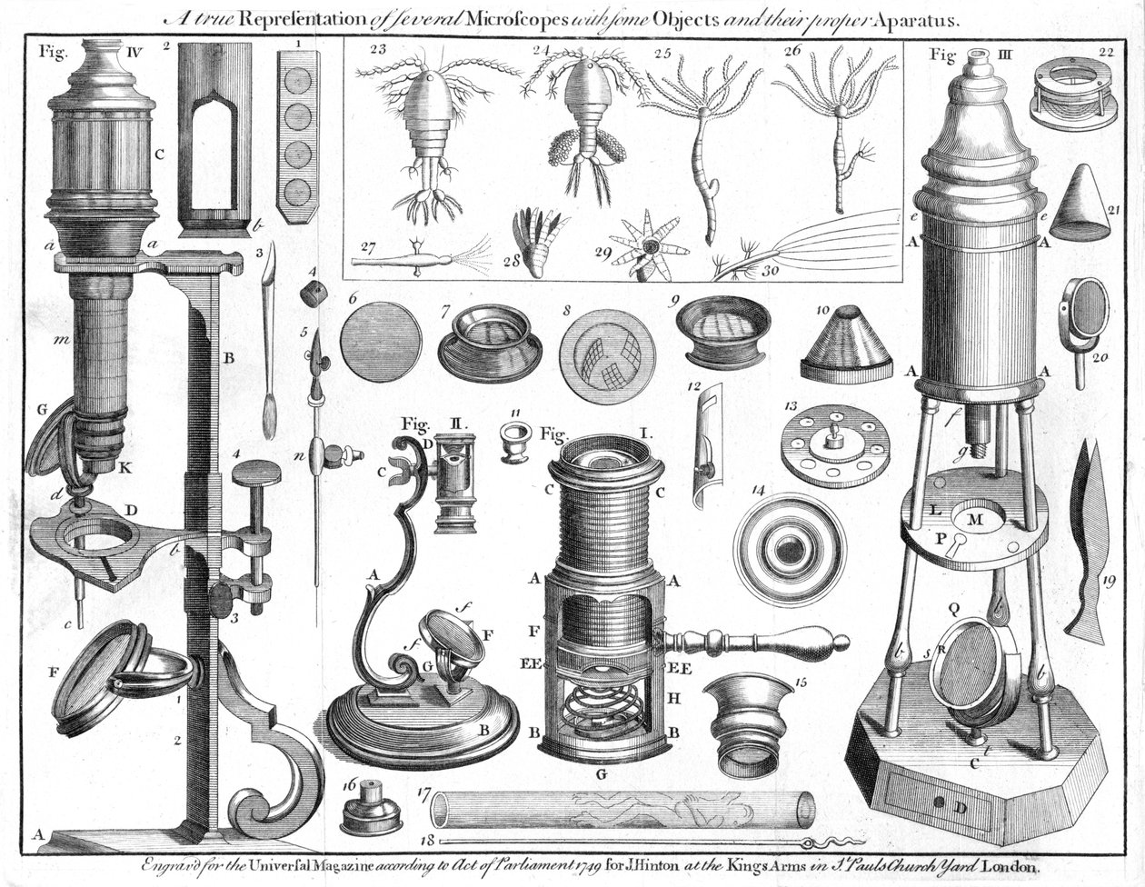 Microscopes et objets microscopiques, 1750 - Unbekannt