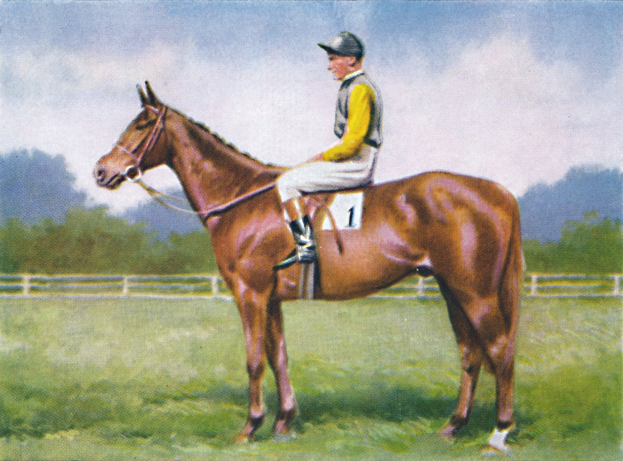 Code Morse, jockey : D. Morgan, 1939 - Unbekannt
