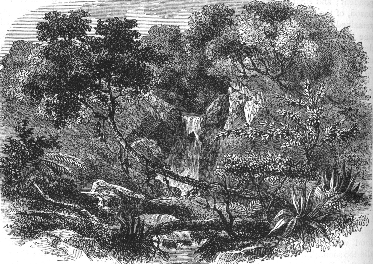 Paysage de Nouvelle-Zélande, vers 1880 - Unbekannt