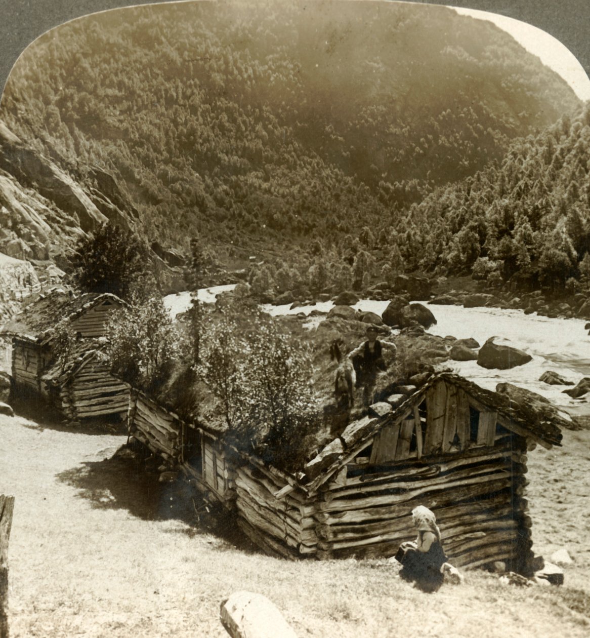 Vieilles maisons en rondins à Bratslandsdal, avec des arbres poussant sur des toits recouverts de gazon, Norvège, vers 1905 - Unbekannt
