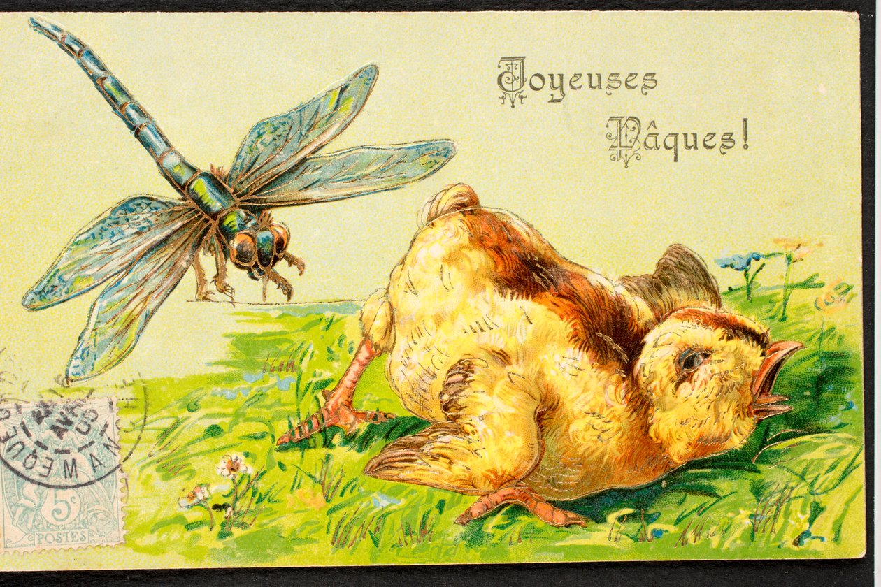Vieille carte postale/Joyeuses Pâques/Poussin/Libellule - Unbekannt